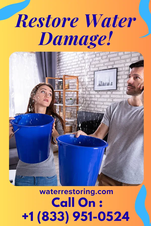 water restoration Eco Damage Recovery Professionals Maury City