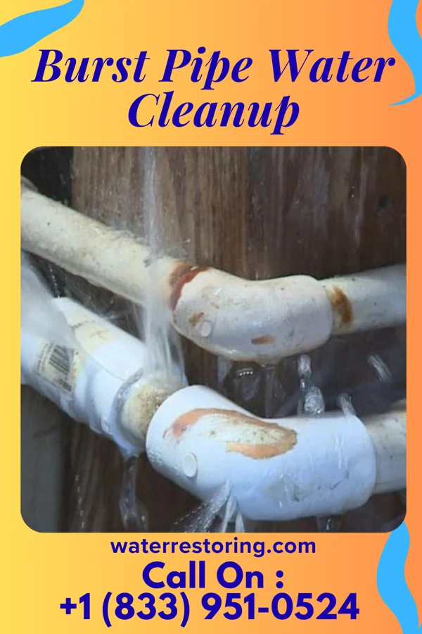 Burst Pipe Water Cleanup in Maury City, TN
