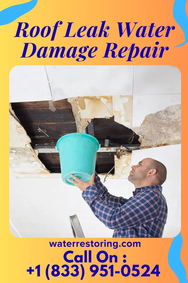 Roof Leak Water Damage Repair in Maury City, TN