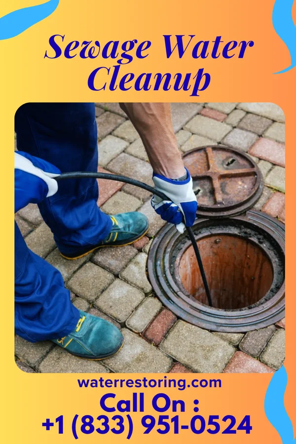 Sewage Water Cleanup in Maury City, TN
